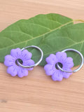 Pampilles fleurs violettes